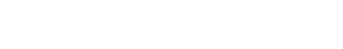 steak n shake franchise Logo